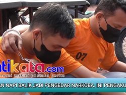 Mantan Napi balik jadi pengedar narkoba. Ini pengakuannya !