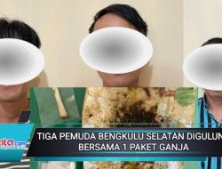 Tiga Pemuda Bengkulu Selatan Digulung Bersama 1 Paket Ganja
